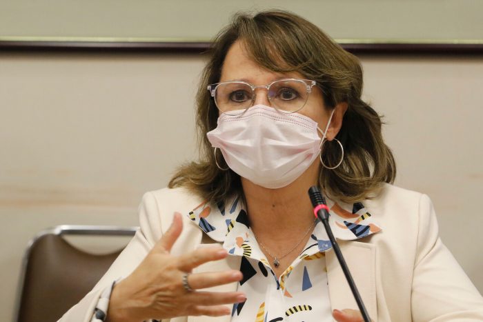 Ministra de Minería espera definir empresa nacional de litio antes de fin de año