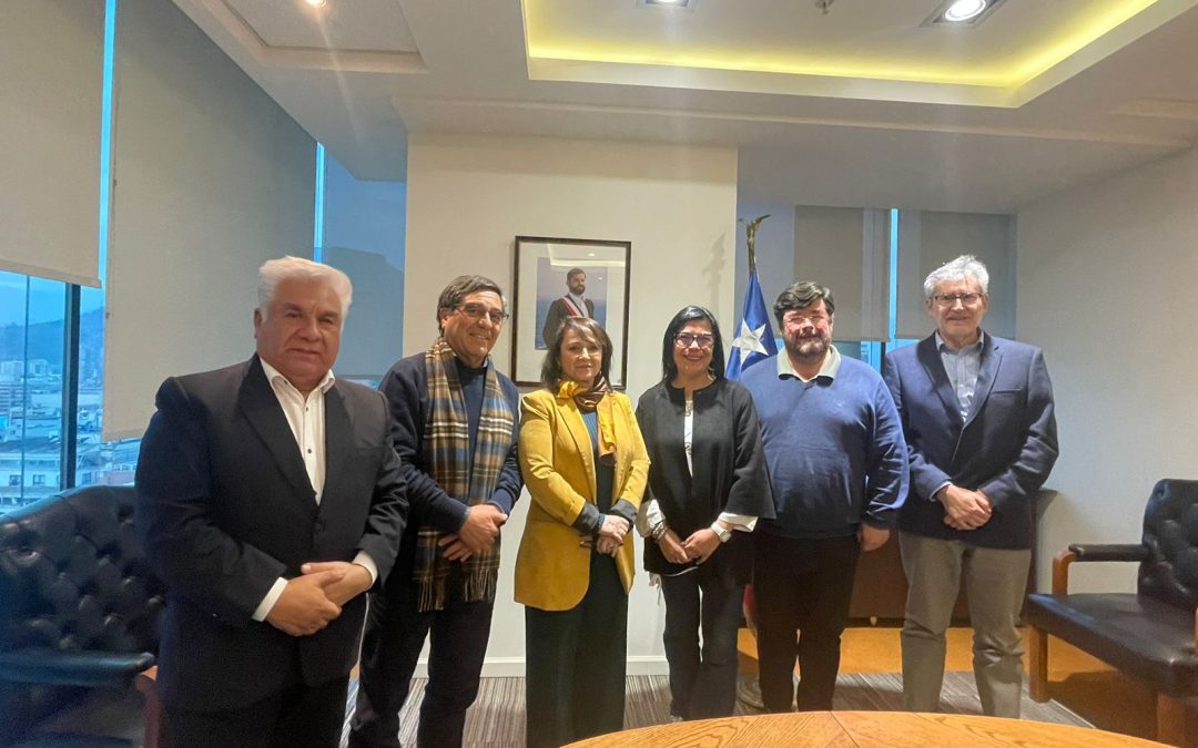FESUC con Ministra de Minería: “Cuidar a las personas, Codelco Estatal y Litio”