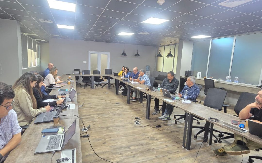 Nueva directiva del SISAN conoce avances en el Cese Operacional del III Panel de la Mina Subterránea de División Andina